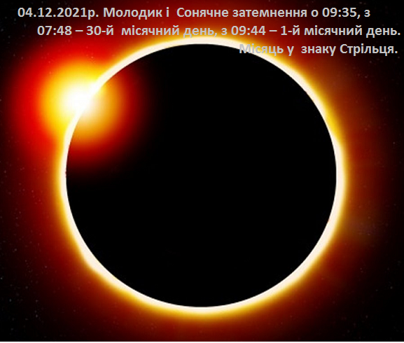 04 12 2021 Молодик 30 1 мд Сонячне З