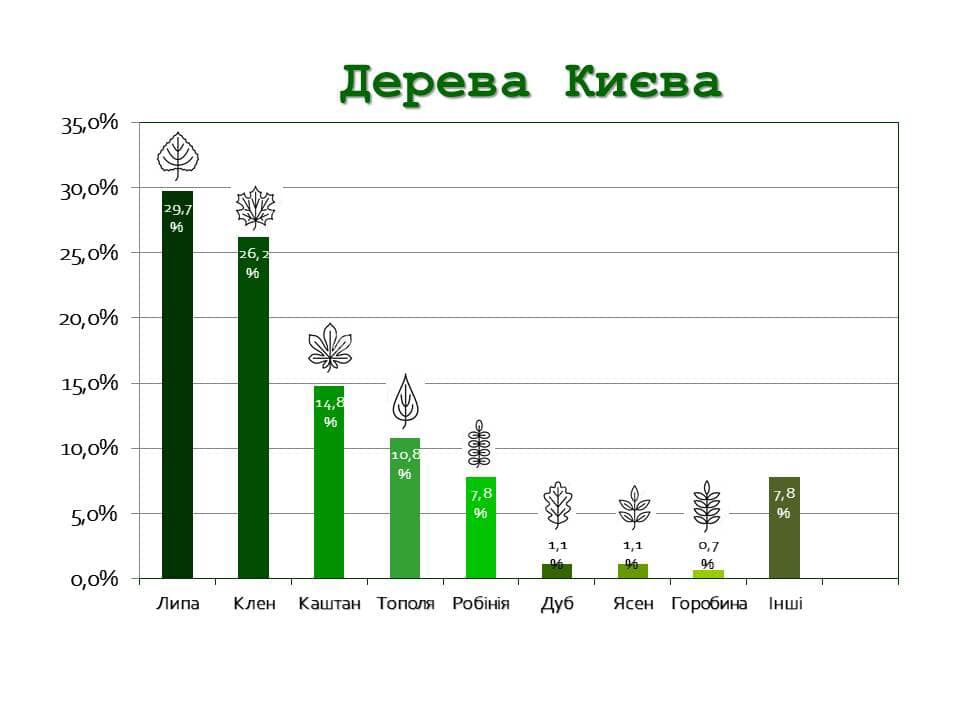 60b8c4575d047 derevyya kieva