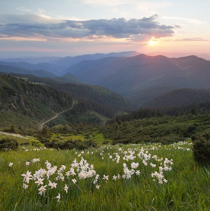 karpaty