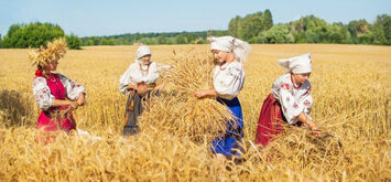 Хліборобство, як окремий світогляд. Українські традиції, пов’язані з хлібом