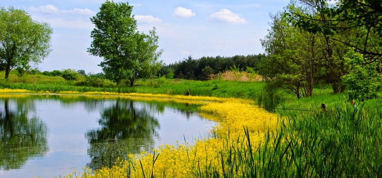 Природні культи території Дніпрово-Дунайського водного басейну в світлі сучасних досліджень