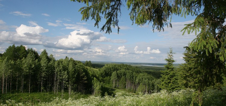  Лазня у Підмосков’ї